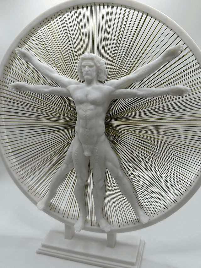 The Vitruvian Man